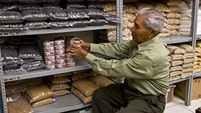 Stake Preparedness Food Storage Image